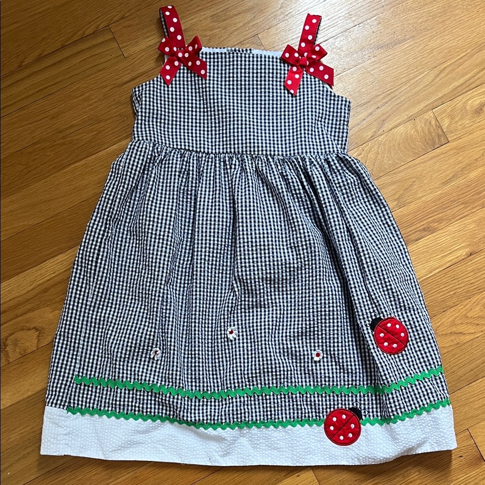 Charming Gingham Kids Dress with ladybug accents